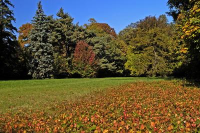 Őszi színekben pompázik a Szarvasi Arborétum-stock-foto