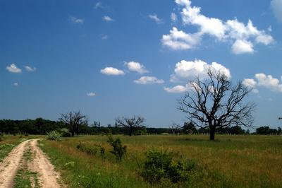 Bélmegyer, Fáspuszta-stock-foto
