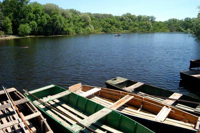 Lakitelek - Tősfürdő, Holt-Tisza-stock-foto