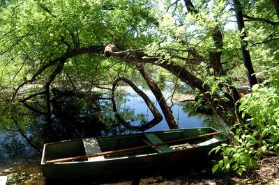 Lakitelek - Tősfürdő, Holt-Tisza-stock-foto