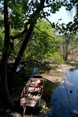 Lakitelek - Tősfürdő, Holt-Tisza-stock-foto