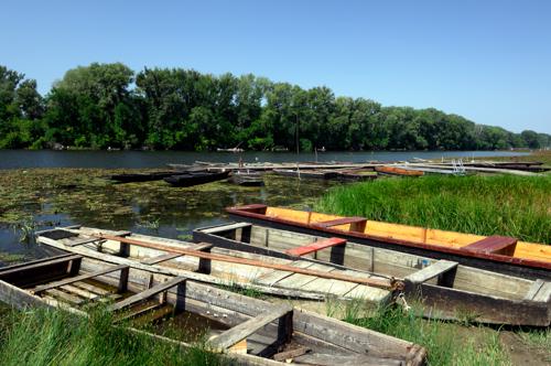 A Holt-Tisza partja Mártélyon-stock-foto