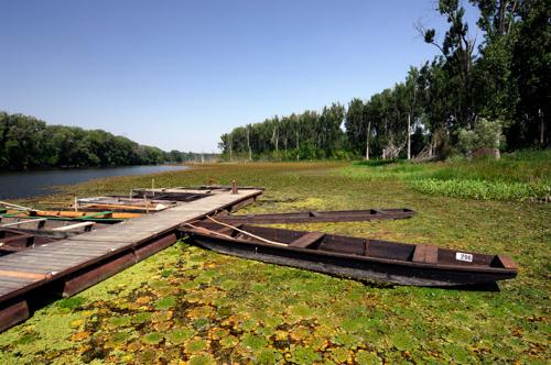 A Holt-Tisza partja Mártélyon-stock-foto