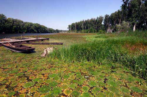 A Holt-Tisza partja Mártélyon-stock-foto