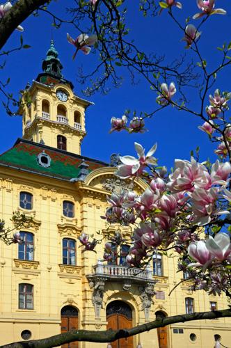 Szeged, Városháza-stock-foto