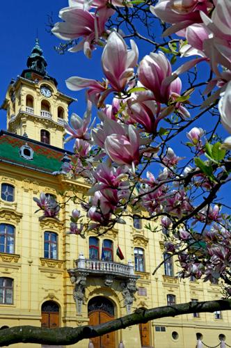 Szeged, Városháza-stock-foto