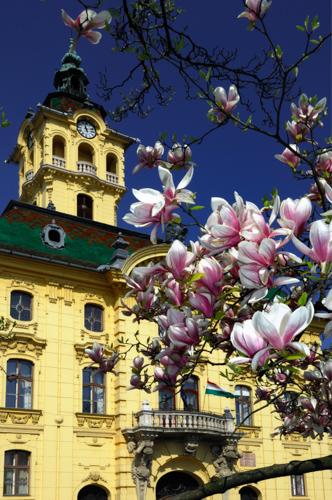 Szeged, Városháza-stock-foto