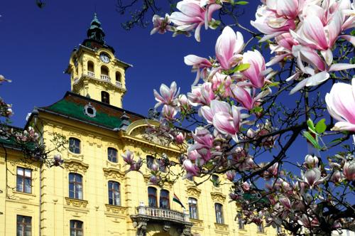 Szeged, Városháza-stock-foto