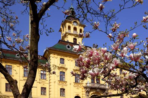 Szeged, Városháza-stock-foto