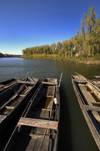 A Holt-Tisza partja Mártélyon-stock-foto