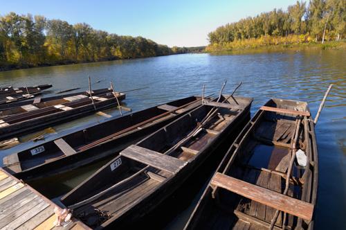 A Holt-Tisza partja Mártélyon-stock-foto