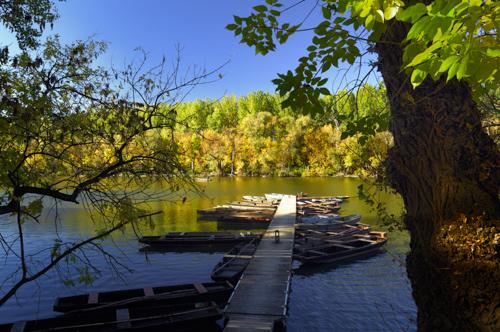 A Holt-Tisza partja Mártélyon-stock-foto