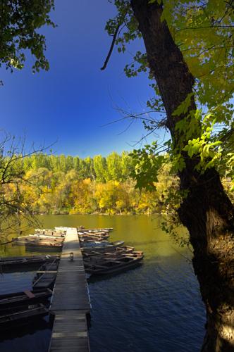 A Holt-Tisza partja Mártélyon-stock-foto