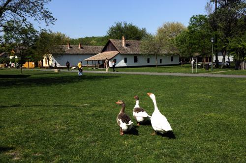 Ópusztaszer, Szabadtéri néprajzi gyűjtemény-stock-foto