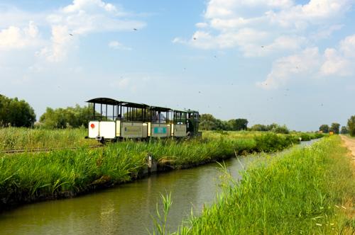 Hortobágy-halastavi Kisvasút-stock-foto