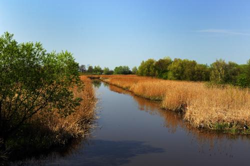 A Hortobágy folyó-stock-photo