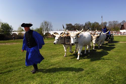 Hortobágy, hat ökrös szekér a Kilenclyukú hídnál-stock-foto