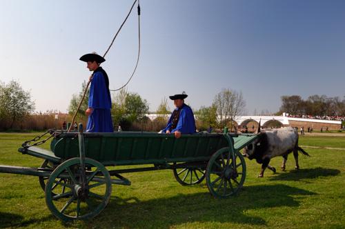 Hortobágy, hat ökrös szekér a Kilenclyukú hídnál-stock-foto