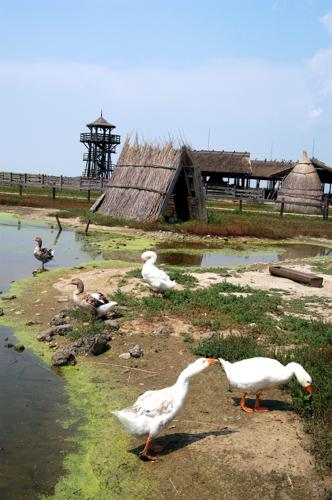 Hortobágy, Pusztai állatpark-stock-foto