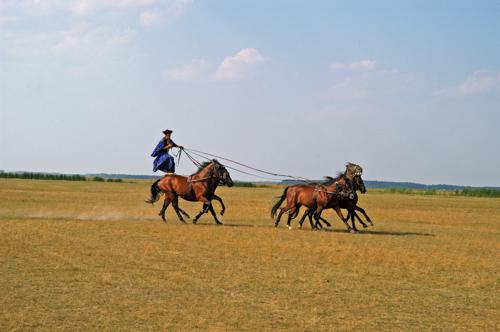 Csikós bemutató Hortobágyon-stock-photo