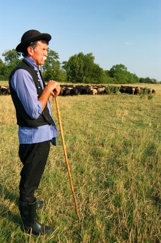 Hortobágyi pásztor-stock-foto