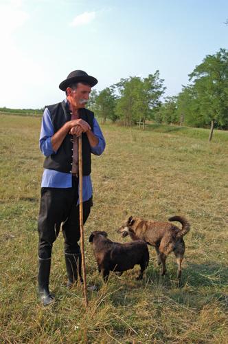 Hortobágyi pásztor-stock-foto