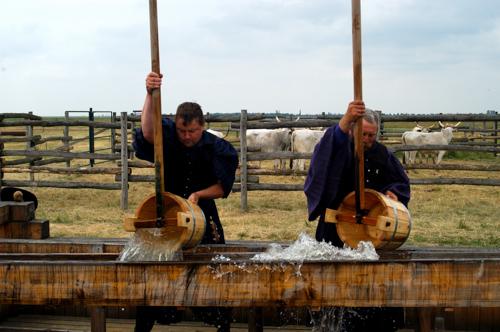 Hortobágyi pásztorok-stock-foto