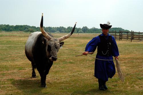 Hortobágyi pásztorok-stock-foto