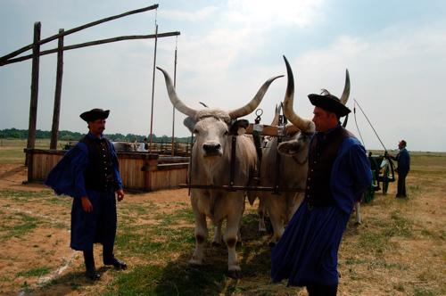 Hortobágyi pásztorok-stock-foto
