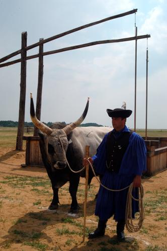 Hortobágyi pásztorok-stock-foto