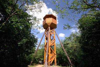 A Pákozd-Sukorói Arborétum-stock-foto
