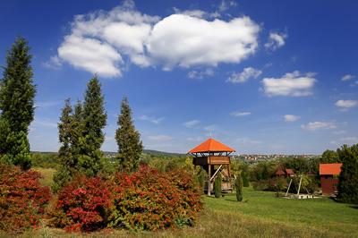 A Pákozd-Sukorói Arborétum-stock-foto