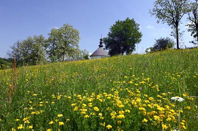 Kissikátor, Római katolikus körtemplom-stock-foto