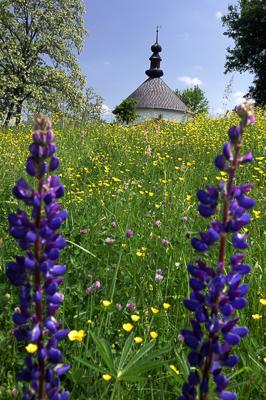 Kissikátor, Római katolikus körtemplom-stock-foto