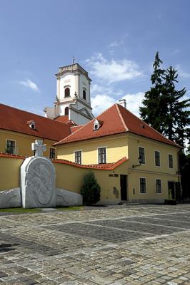 Győr belvárosa a Püspökvárral-stock-foto