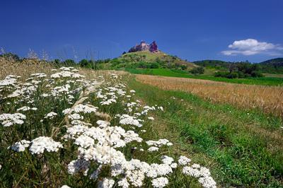 Boldogkőváralja, Boldogkő vára-stock-foto