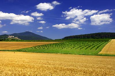 Boldogkőváralja, Boldogkő vára-stock-foto