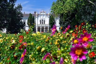 Martonvásár, Brunszvik-kastély-stock-foto