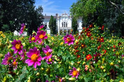 Martonvásár, Brunszvik-kastély-stock-foto