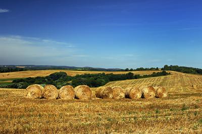 Abaligeti táj-stock-foto