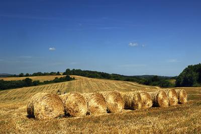 Abaligeti táj-stock-foto