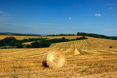 Abaligeti táj-stock-foto