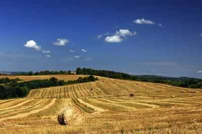 Abaligeti táj-stock-foto