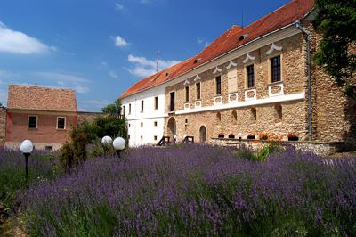 A pécsváradi vár-stock-foto