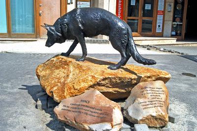 Mancs, a híres életmentő kutya szobra Miskolcon-stock-foto