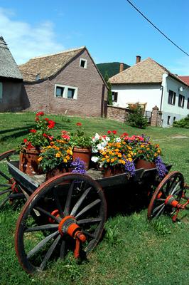 Cserkúti utcarészlet-stock-foto