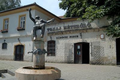 Tokaj, Rákóczi Pince-stock-foto