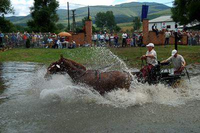 Fogathajtó verseny Szilvásváradon-stock-photo