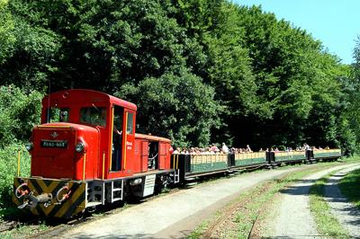 Szilvásváradi Erdei Vasút-stock-foto
