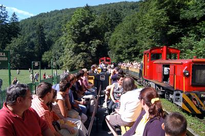 Szilvásváradi Erdei Vasút-stock-foto